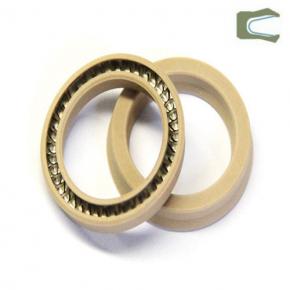 Spring Loaded Seals for Piston PVA